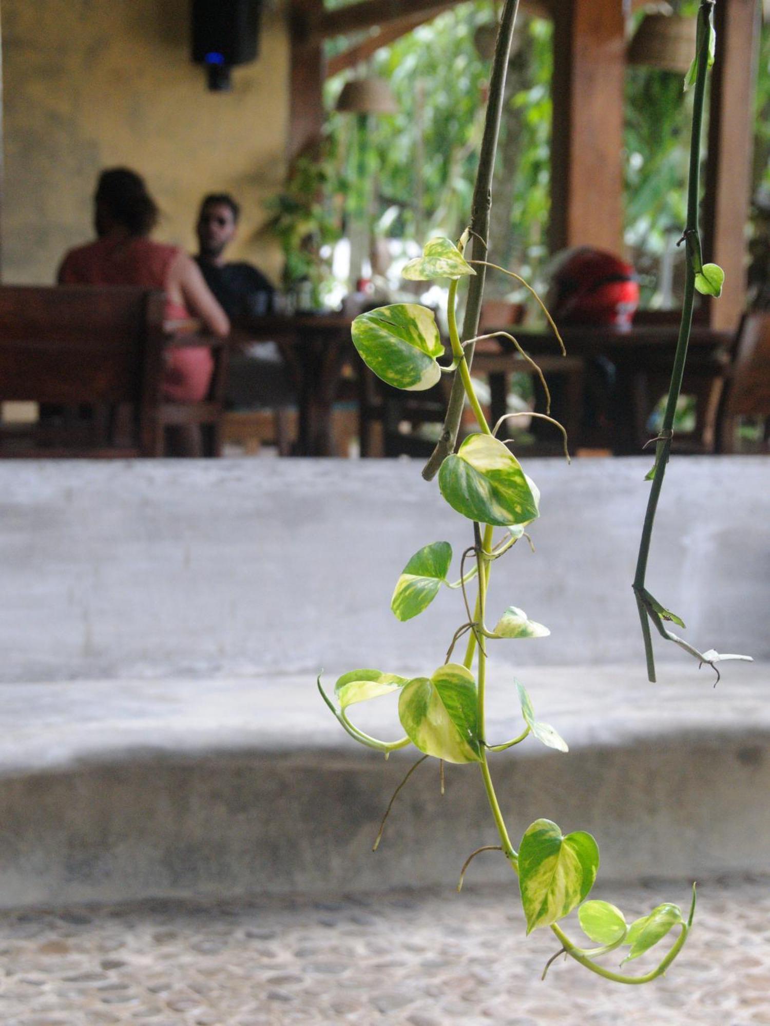 Happiness Boutique Resort El Nido Bagian luar foto