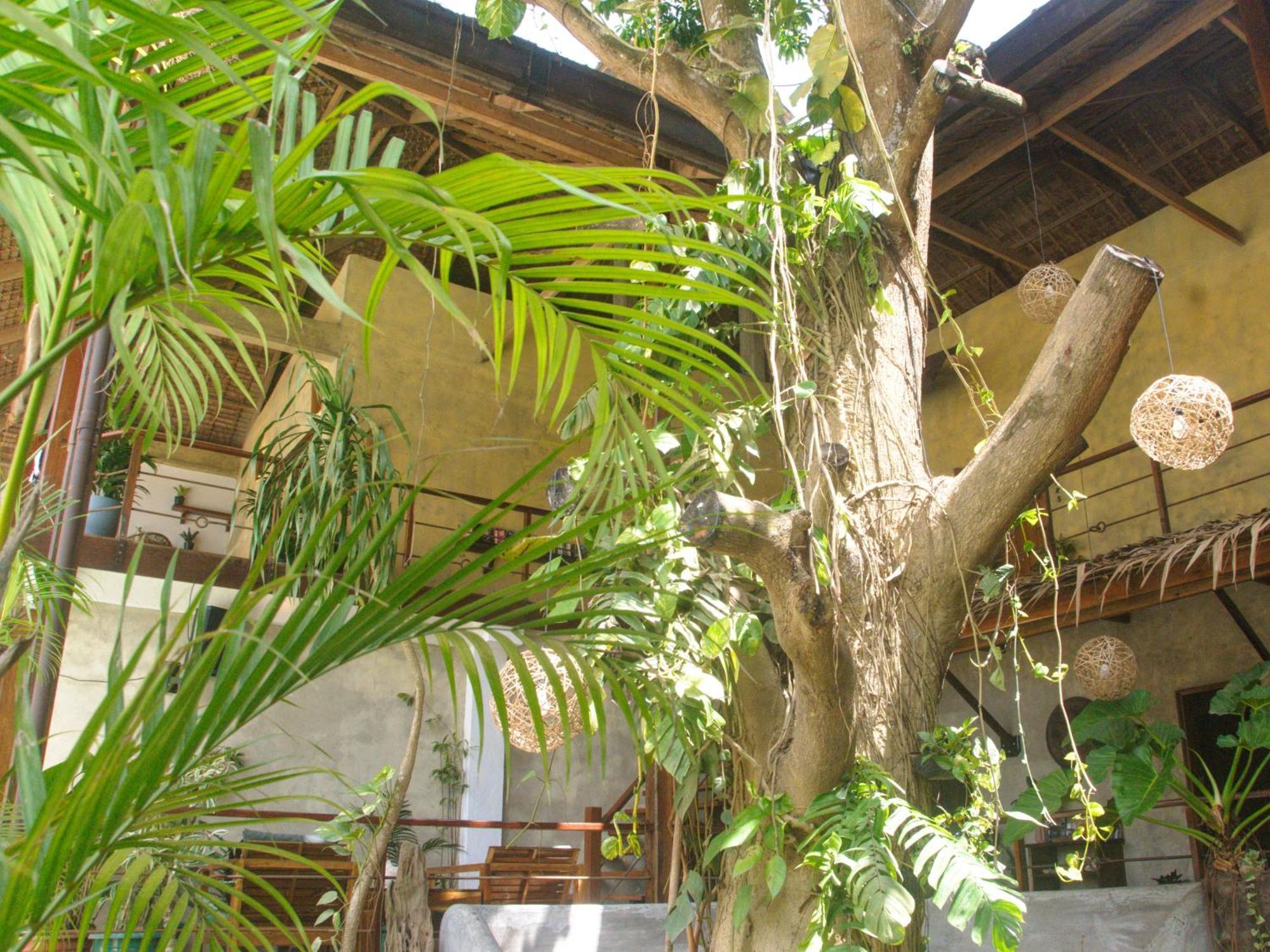 Happiness Boutique Resort El Nido Bagian luar foto